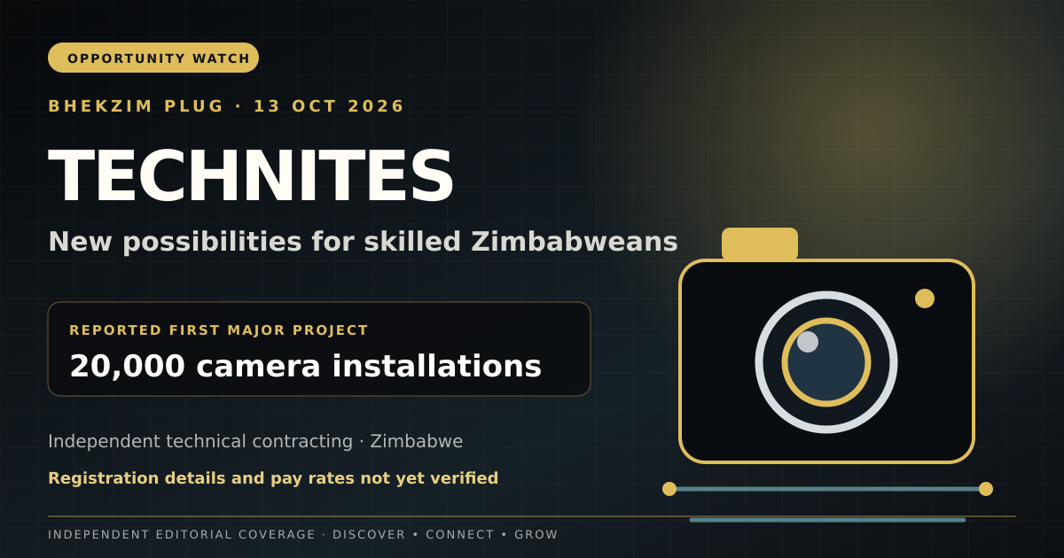 BHEKZIM PLUG editorial illustration for the developing Technites independent-contracting opportunity in Zimbabwe
